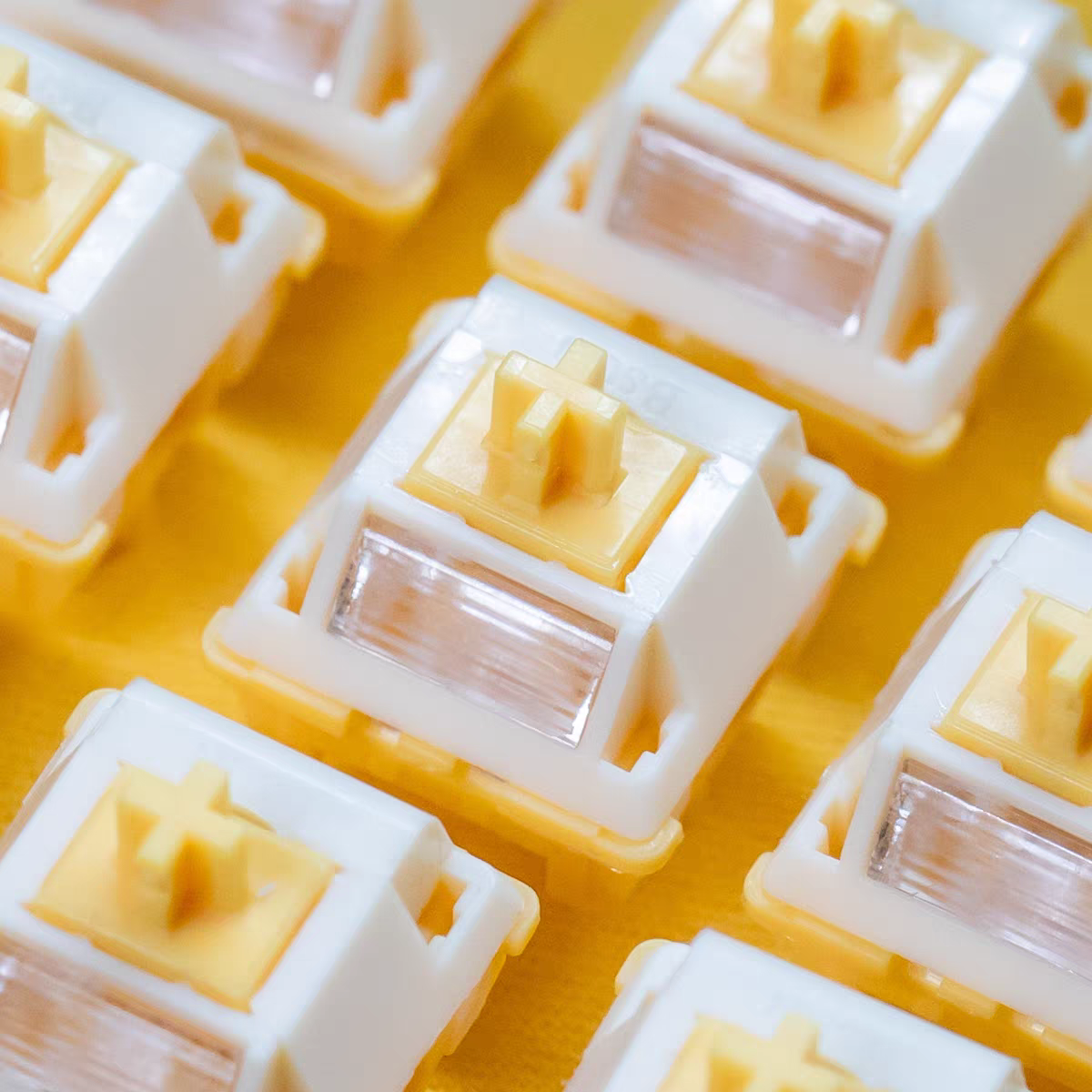 Milk Dragon V2 QVQ N2 Switch 5 - đánh giá và giá Gaming Keyboard Thocky
