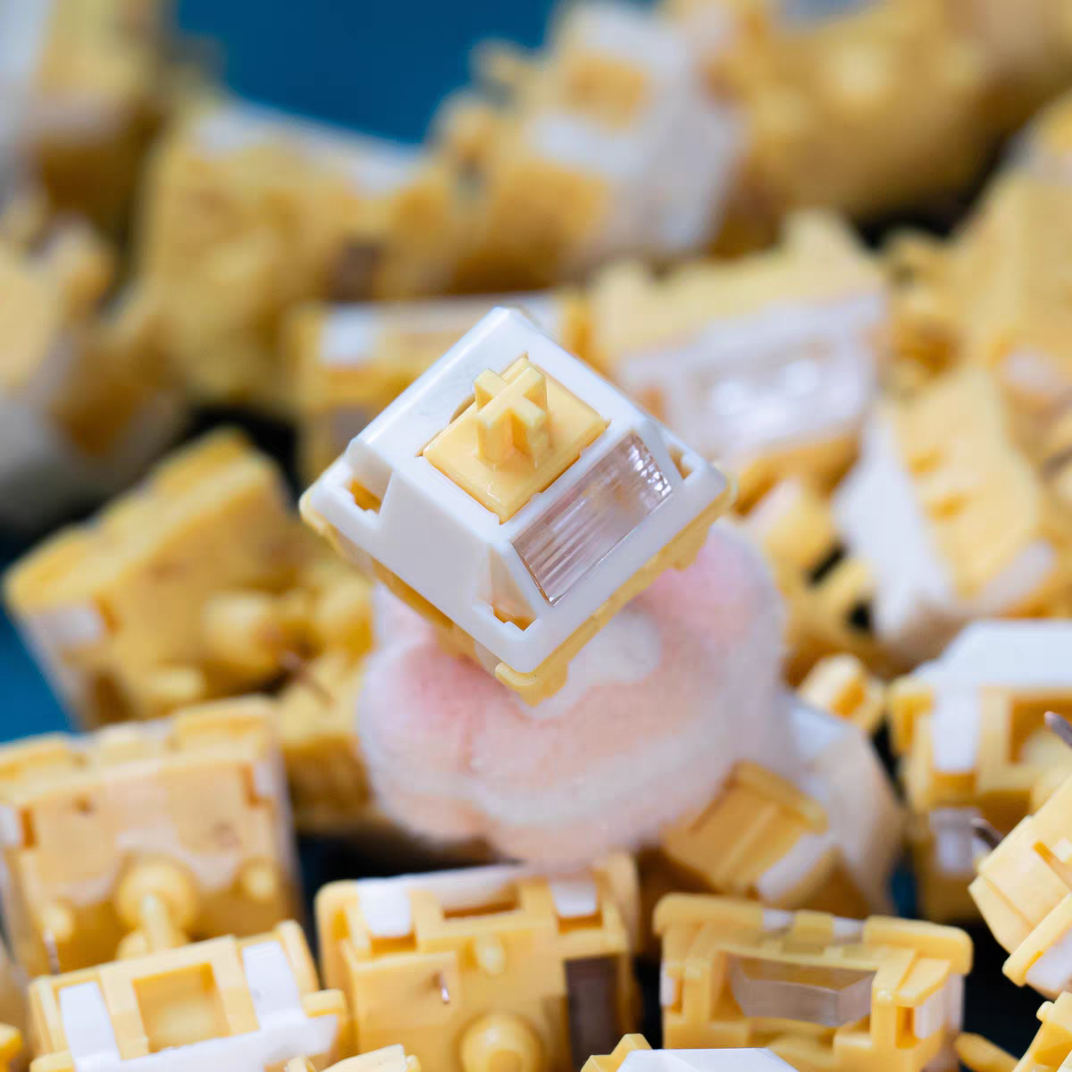 QVQ N2 Milk Dragon V2 Switch L - đánh giá và giá Gaming Keyboard Thocky
